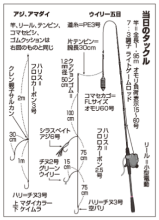 当日のタックル