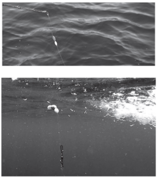 発泡ウキで浮力を調整