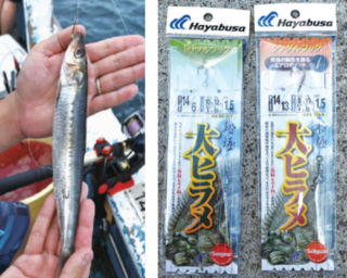 大判狙いの仕掛け＆エサ