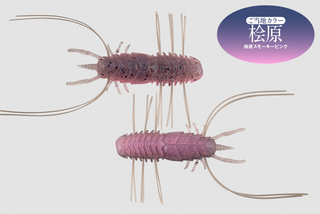 高比重ワーム【ワムワムフレア】に2024年新カラー登場！