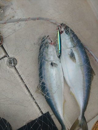 釣果