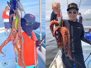 【釣果速報】まだまだ盛況！兵庫県こうじん丸でTOP12匹のマダコ上がる！マダコ釣り、終わる前にぜひ乗船を！