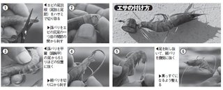 エサのつけ方の写真