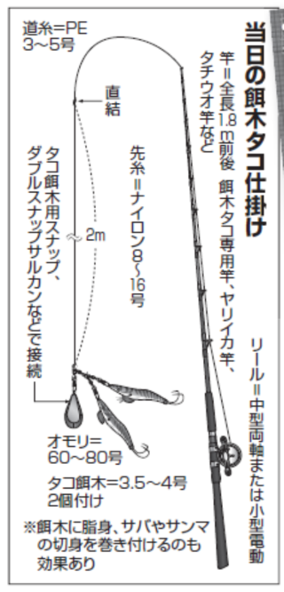 当日の餌木タコ仕掛け