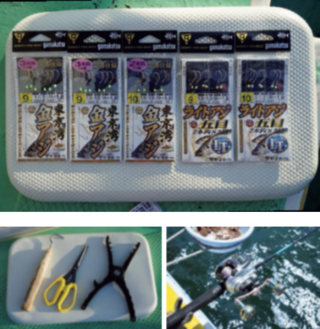 ハリスの太さは