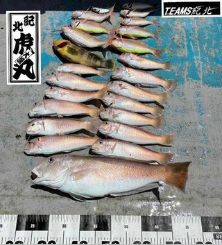 釣果