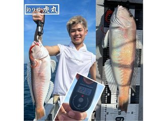 【釣果速報】“幻の甘鯛”ことシロアマダイが連発ヒット！合計14匹をキャッチ！和歌山県虎丸で超高級魚に出会おう！