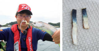 読者アングラーの弁