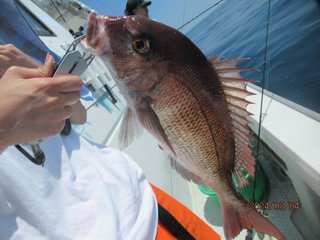 釣果