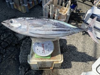 釣果