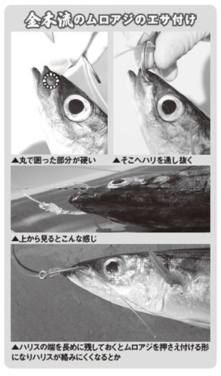 エサ付けの写真