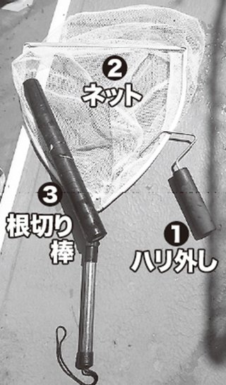 アイテムの写真