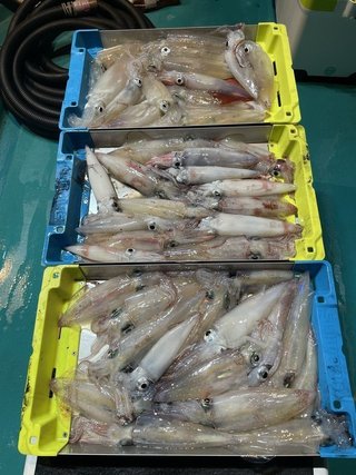 釣果