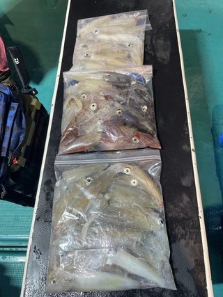 釣果