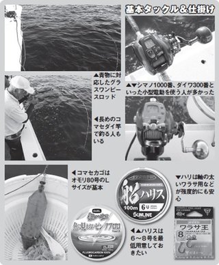 鯛、ワラサ竿2本セット価格 取りに来てくれる方限定 (横浜市磯子区)