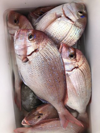 釣果