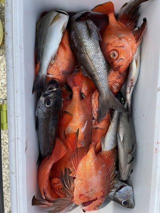 釣果