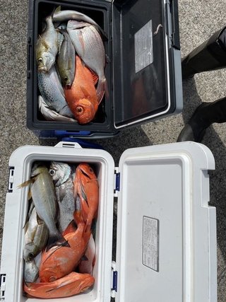 釣果