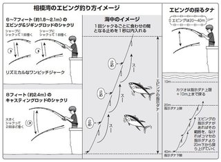 相模湾のキハダ・カツオ