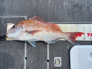 釣果