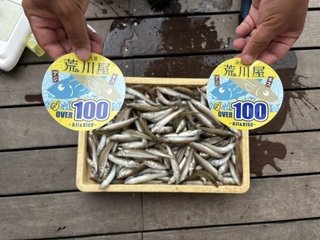 釣果