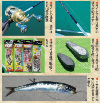 しのチェック01