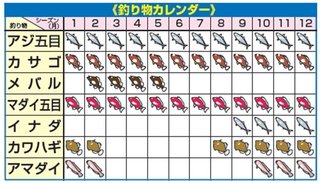 釣り物カレンダー