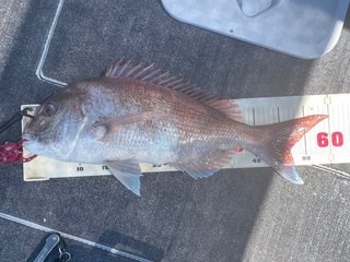 釣果