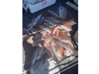 釣果