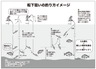 船下狙いの釣り方イメージ