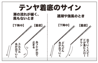 テンヤ着底のサイン