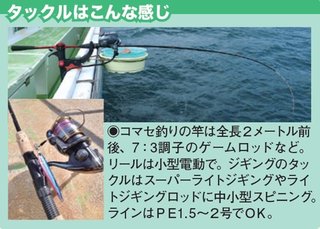 タックルの写真