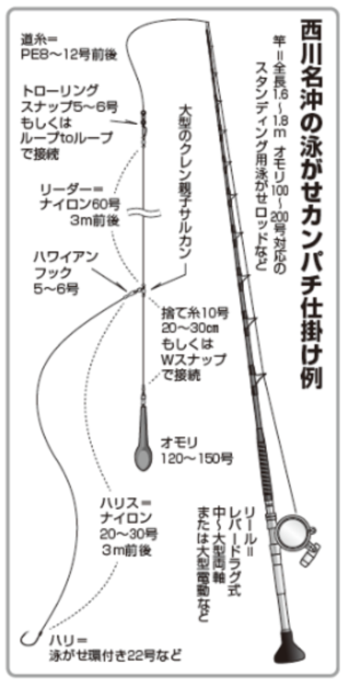 西川名沖の泳がせカンパチ仕掛け例