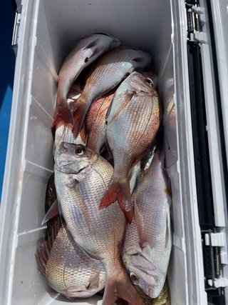 釣果