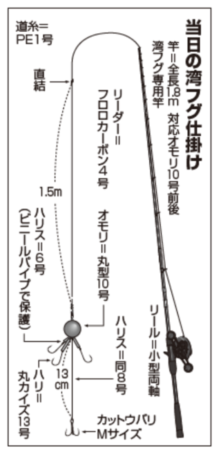 当日の湾フグ仕掛け