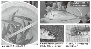 釣行の写真