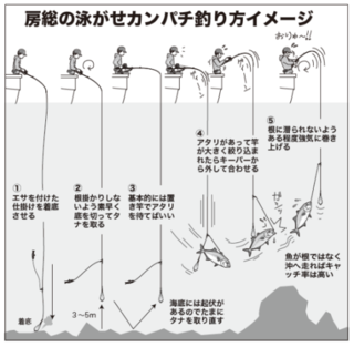 房総の泳がせカンパチ釣り方イメージ