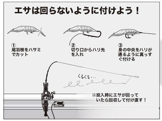 エサのつけ方の図
