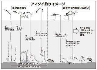 釣りのイメージ図