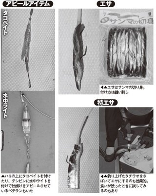 仕掛けの写真