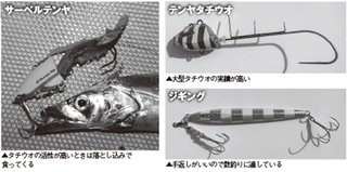 仕掛けの写真