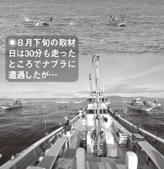 釣り場の写真