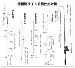 相模湾ライト五目仕掛け例