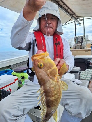 釣果