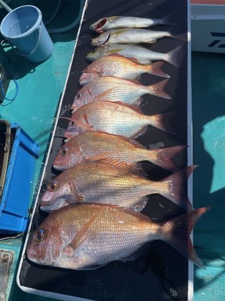 釣果