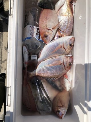 釣果