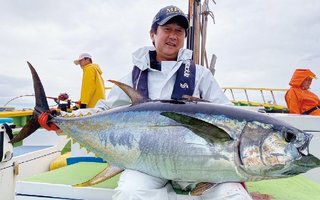 相模湾のキハダ