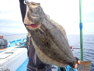釣果