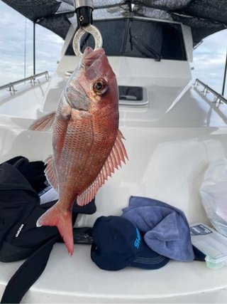 釣果