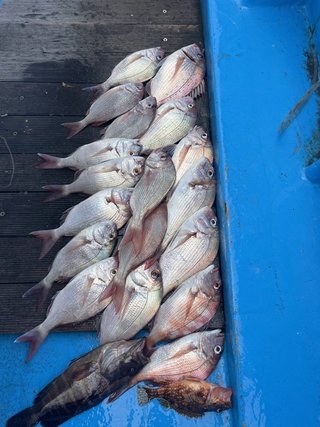 釣果